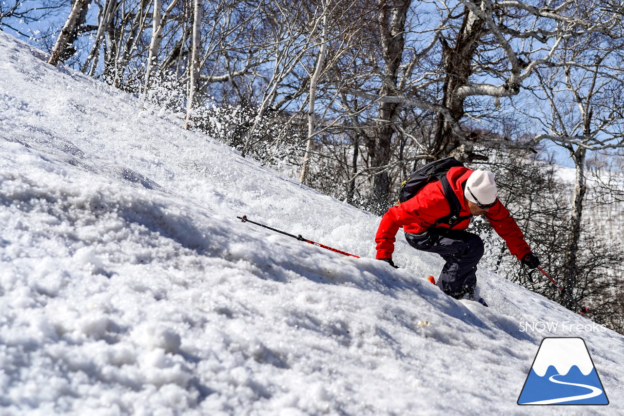 ニセコグラン・ヒラフ DYNASTAR SKI TEST RIDE DAYS Photo Session!!最高の天気に恵まれたニセコに、最高の仲間たちが集まりました☆